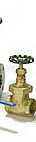 Bronze Globe Valve